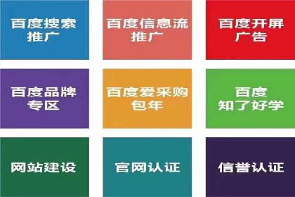百度竞价SEM案例研究：提升转化率的关键策略
